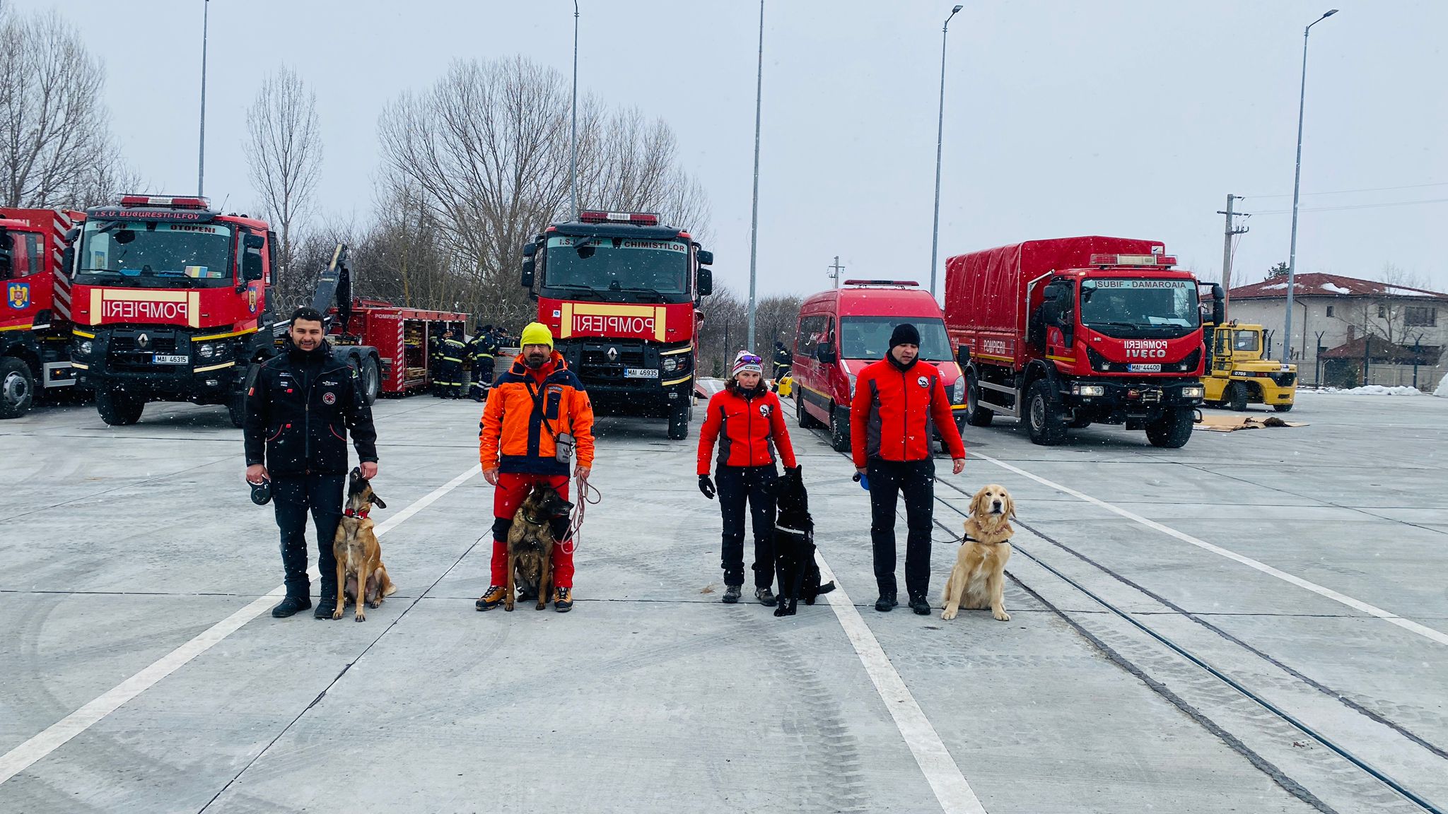patru salvatori umani si patru canini