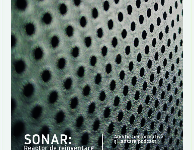 afis proiectul sonar - reactor de creatie si experiment
