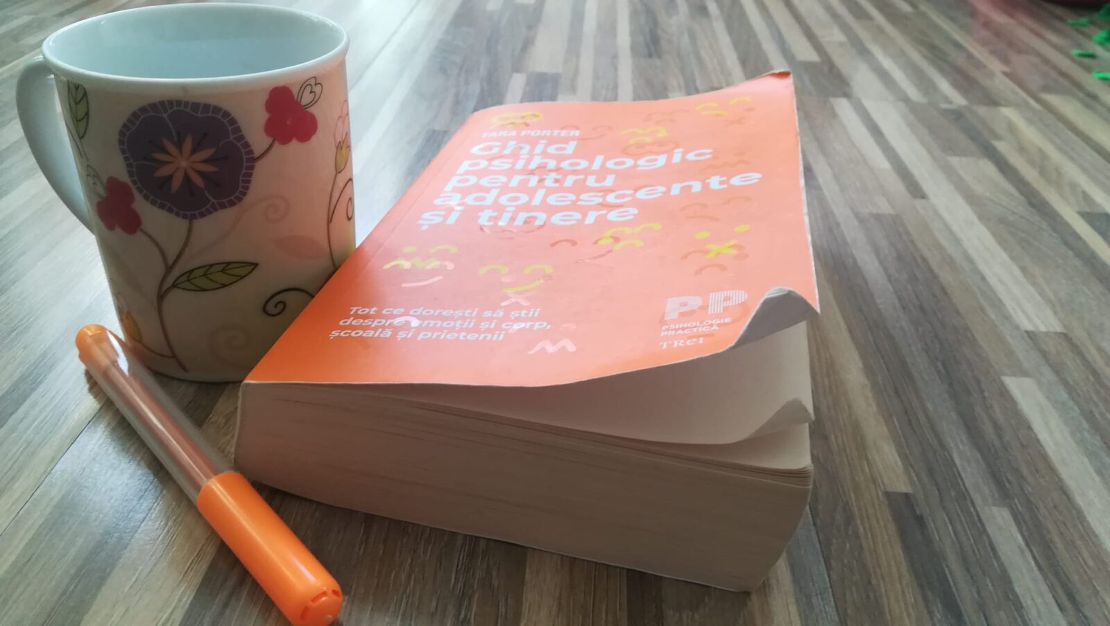 Poza cu „Ghid psihologic pentru adolescente si tinere”