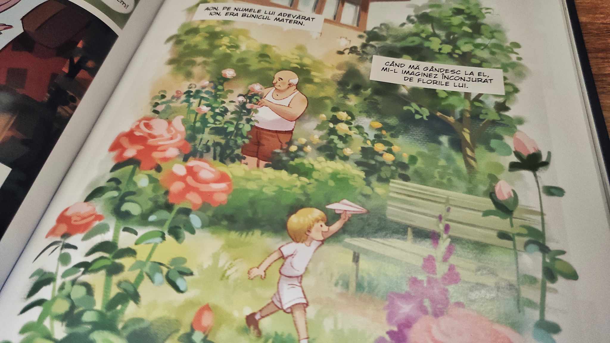 Ilustrații din cartea „Epoca mea de aur”.